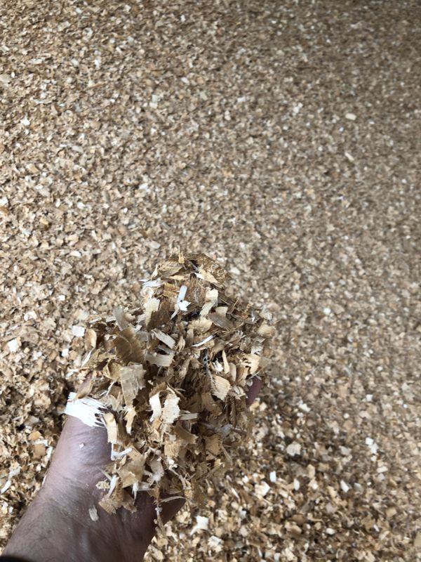 Cedar Shavings