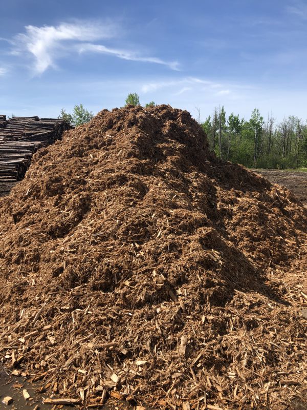 Cedar Wood Grindings